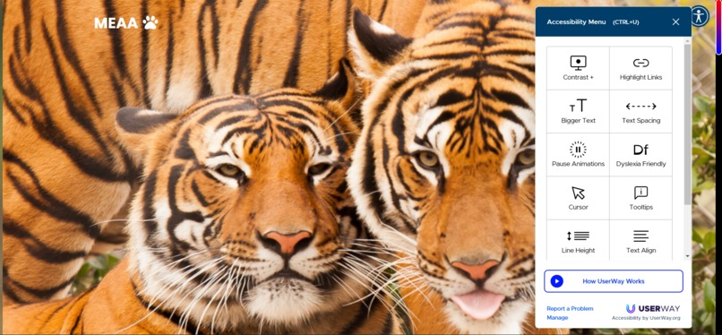 MEAA - Malaysian Endangered Animal Awareness  – screenshot 14