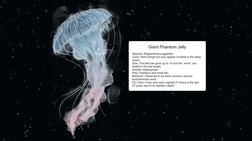 Ocean Adventure – screenshot 1