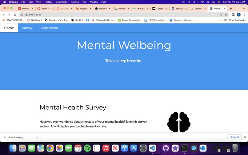 Mental Health Survey – screenshot 1