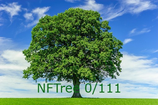 NFTree: NFTs Representing Planted Trees  – screenshot 1