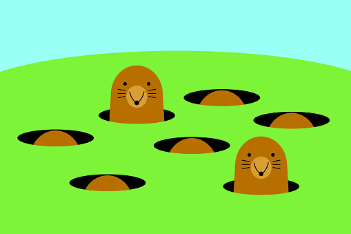 Mole Control – screenshot 2