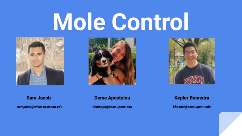 Mole Control – screenshot 3