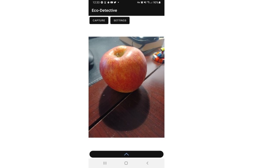 Eco-Detective – screenshot 4