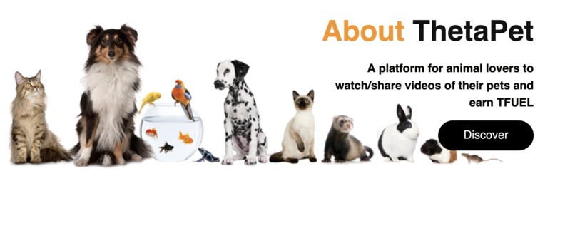 ThetaPet – screenshot 3