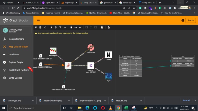 Cancer Variant Analyser – screenshot 2