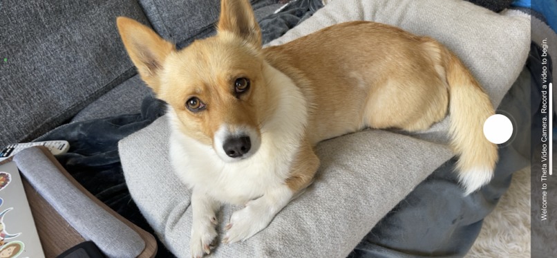 Theta Video Camera – screenshot 1