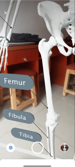 EduAR – screenshot 2