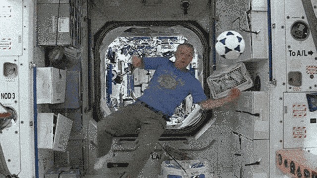 Ace the Bet – screenshot 1