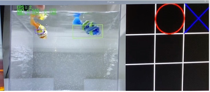 Fish-Tac-Toe – screenshot 1