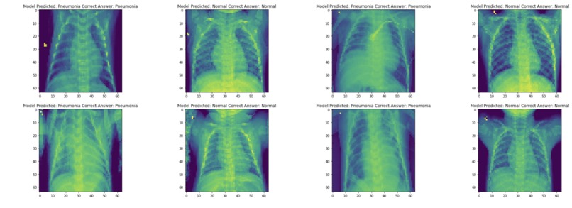 AI Disease Detection – screenshot 2