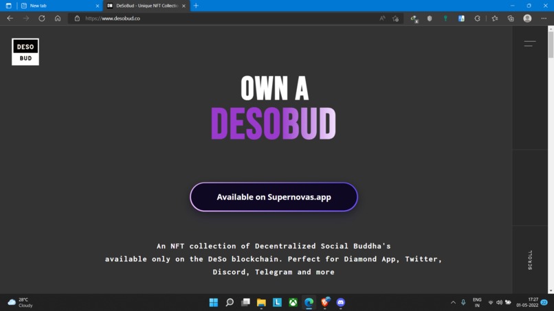DeSoBud – screenshot 1