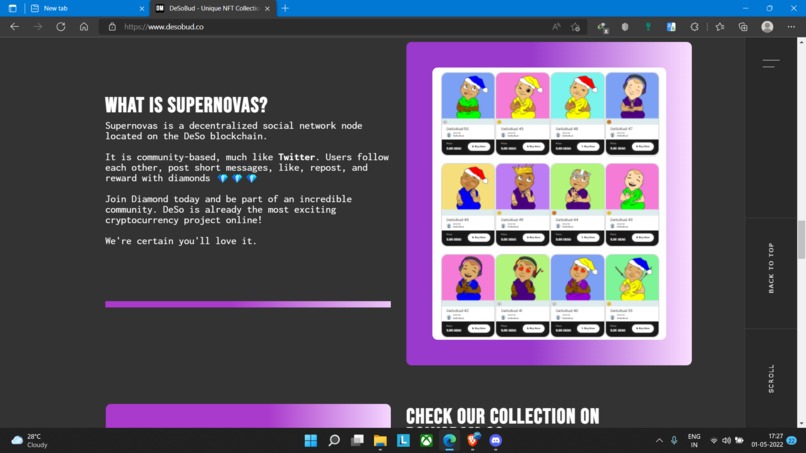 DeSoBud – screenshot 4