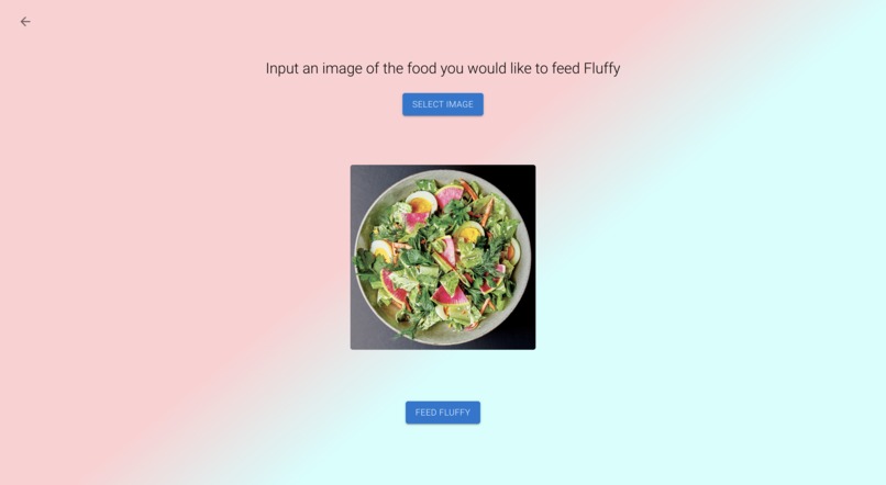 HealthyPets – screenshot 2