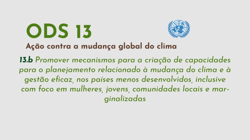 Carteira Verde – screenshot 4