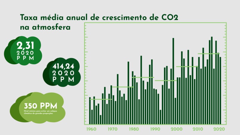 Carteira Verde – screenshot 6