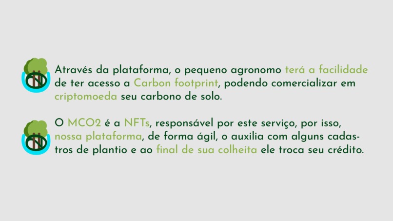 Carteira Verde – screenshot 7