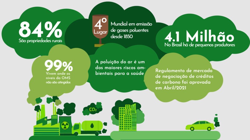 Carteira Verde – screenshot 11