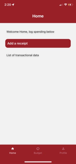 Marriage Budgeting – screenshot 10