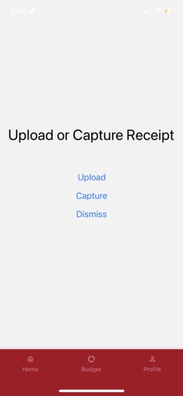Marriage Budgeting – screenshot 6