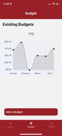 Marriage Budgeting – screenshot 5