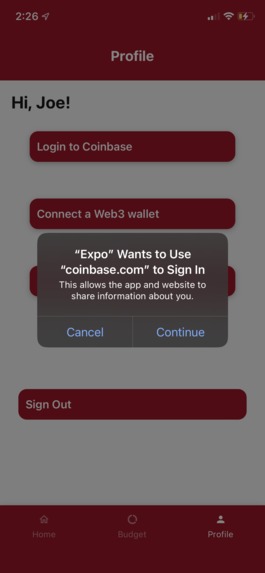 Marriage Budgeting – screenshot 4