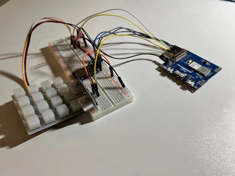 venti touching fish – screenshot 5