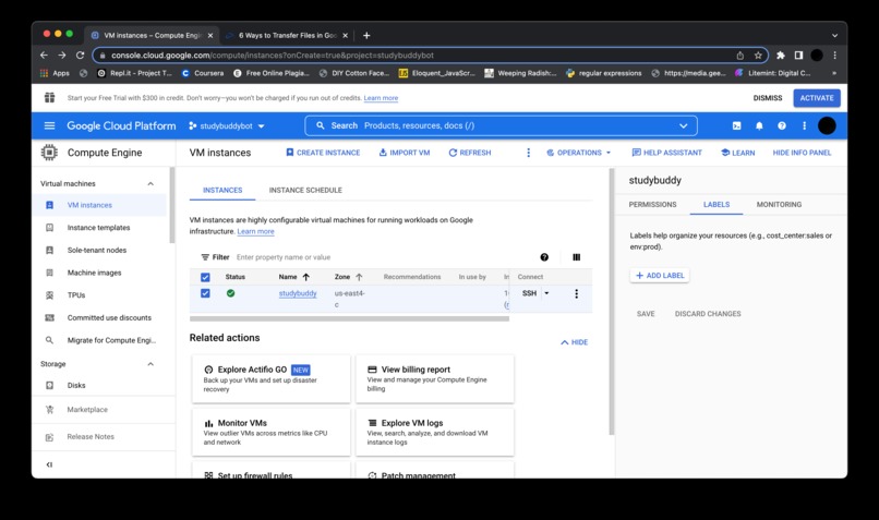 Study Buddy Bot – screenshot 4