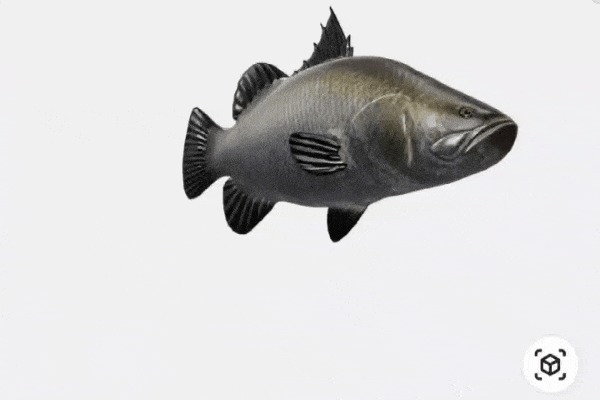 Ar Experience – screenshot 1