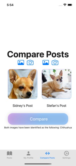 Find My Pet – screenshot 3