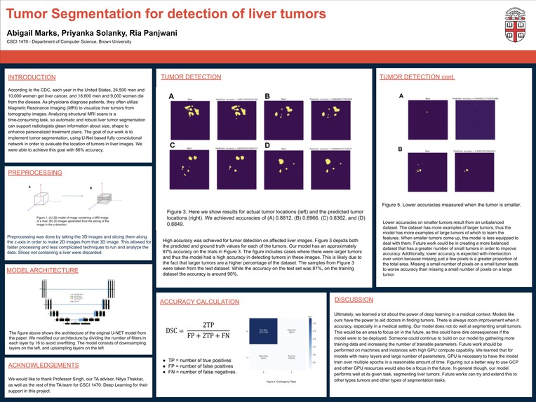 Tumor Segmentation – screenshot 1