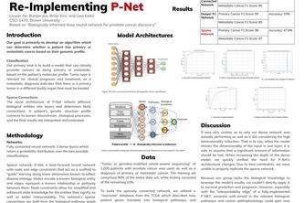 Re-Implementing P-NET
