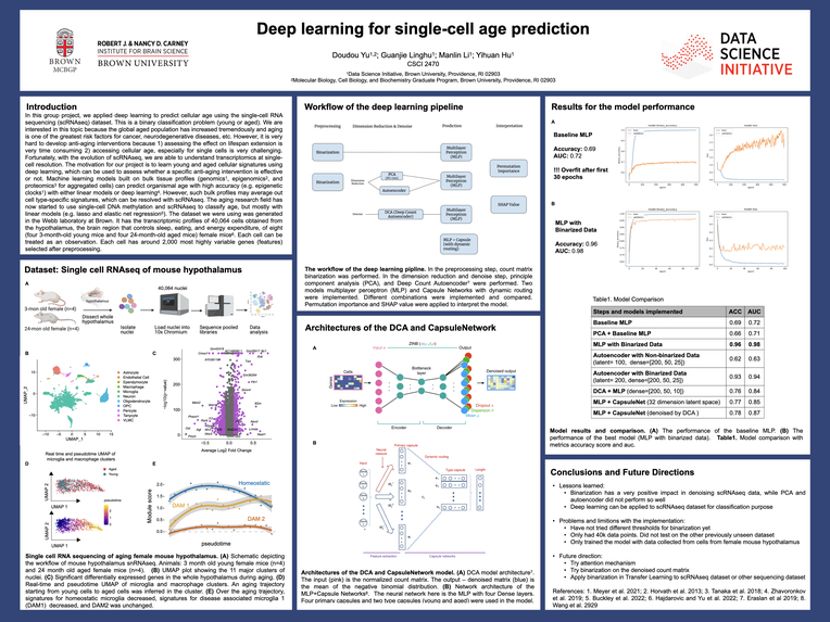 aging single cell – screenshot 1