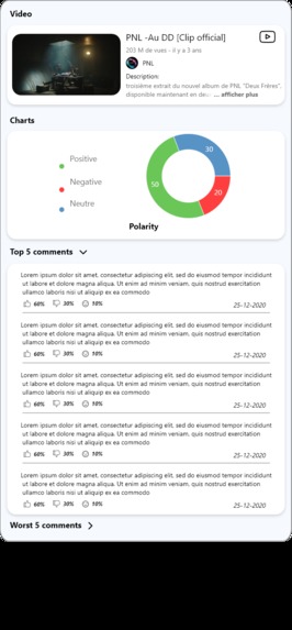 Comments Analyzer – screenshot 3