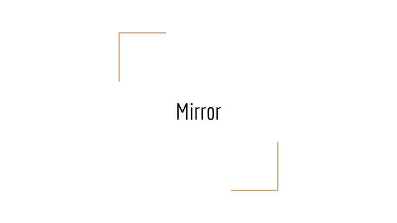 Project Mirror – screenshot 1