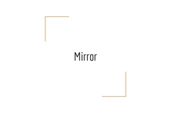 Project Mirror