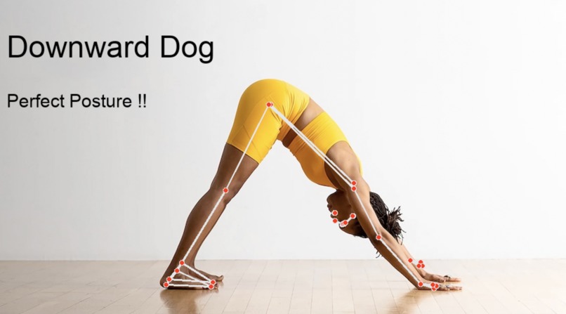 Fit Yoga TrAIner – screenshot 2