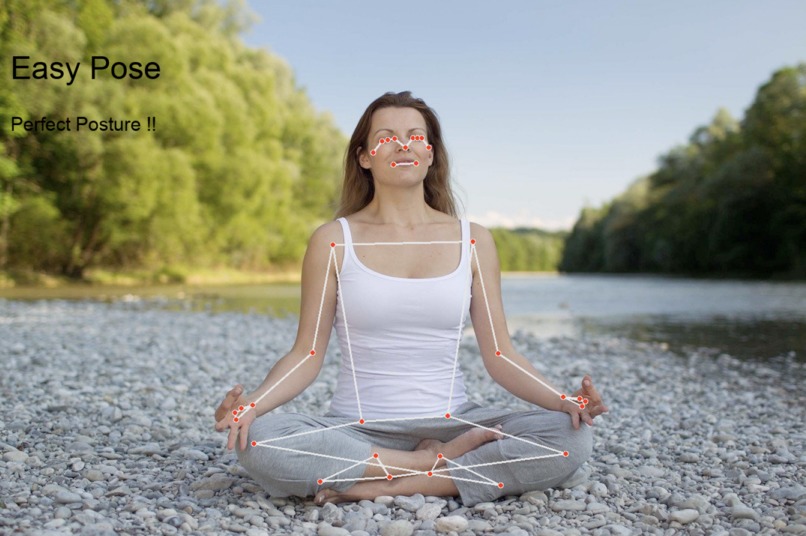 Fit Yoga TrAIner – screenshot 9