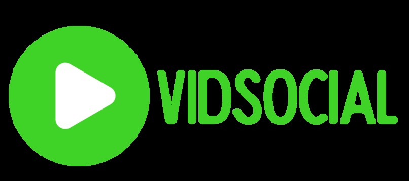 VidSocial – screenshot 1