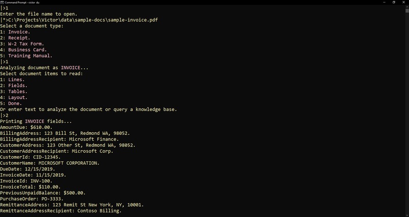 Victor Document Understanding – screenshot 3