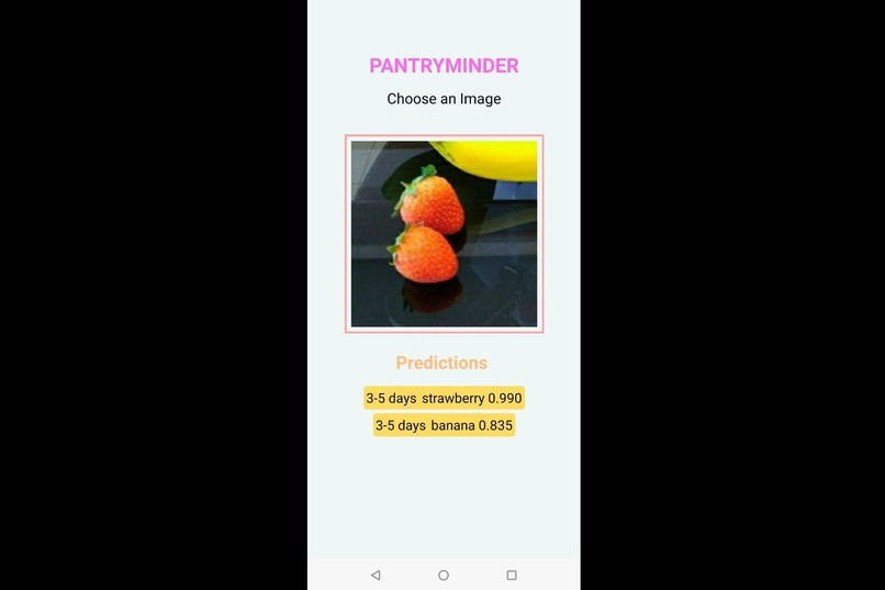 Pantry Minder – screenshot 1