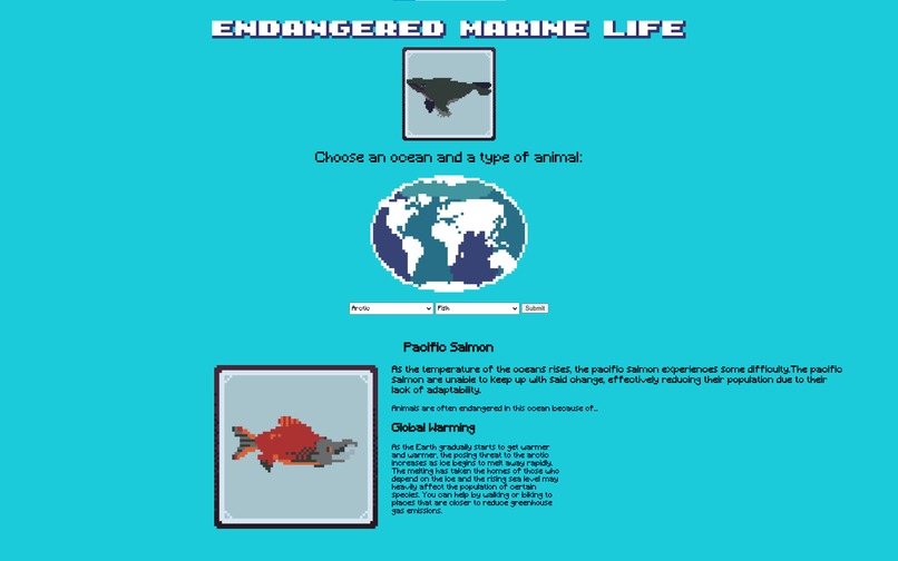 Endangered Marine Life – screenshot 1