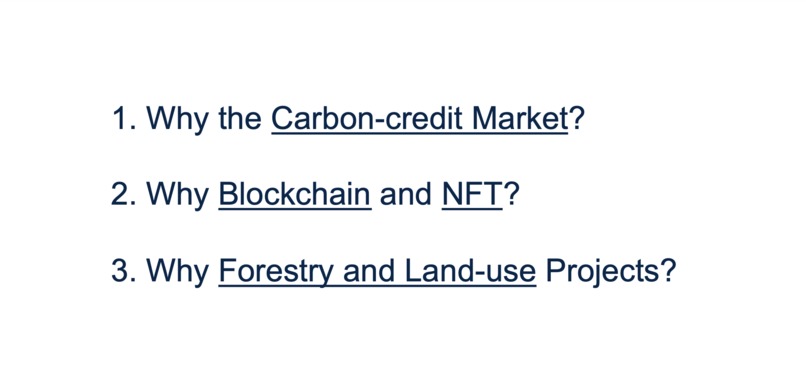 C-Block: Marketplace for Carbon-credit NFT Fractions. – screenshot 2