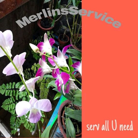 Merjavalink  – screenshot 1