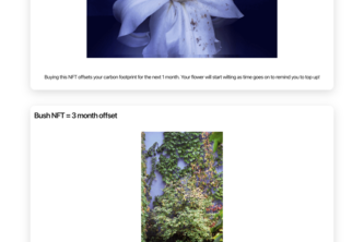 Dynamic Carbon Offset NFTs