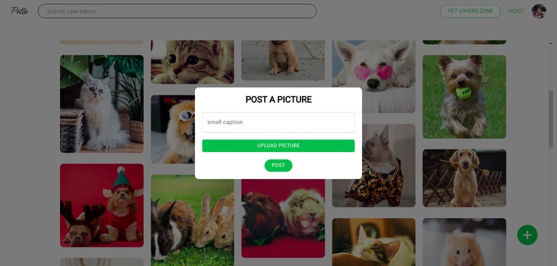 Petto – screenshot 10