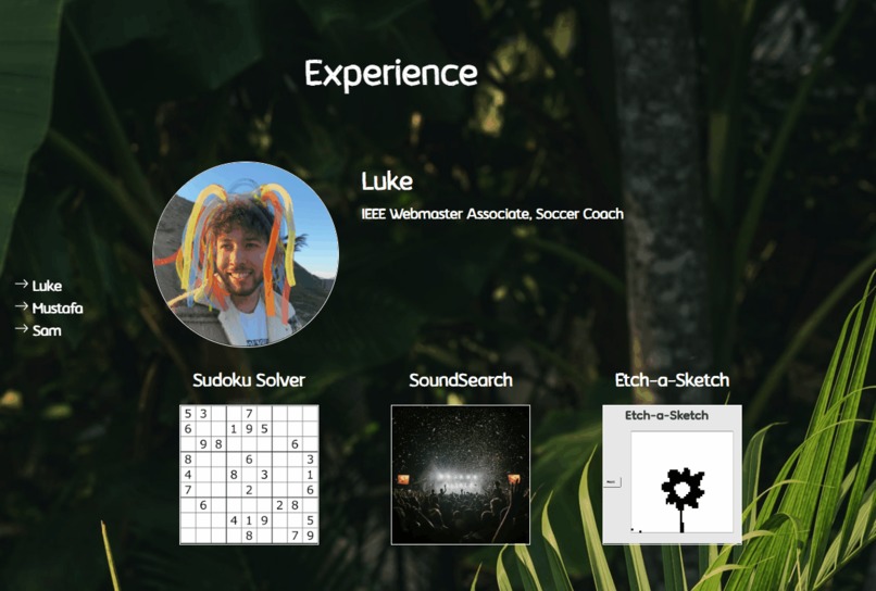 Team Jungle – screenshot 4