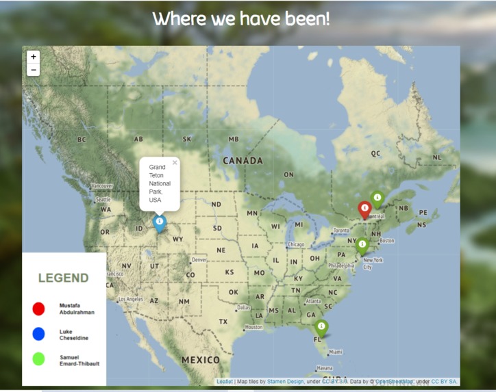 Team Jungle – screenshot 5