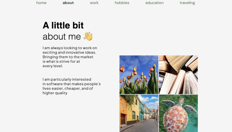 daak-Portfolio Website – screenshot 6