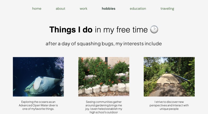 daak-Portfolio Website – screenshot 7