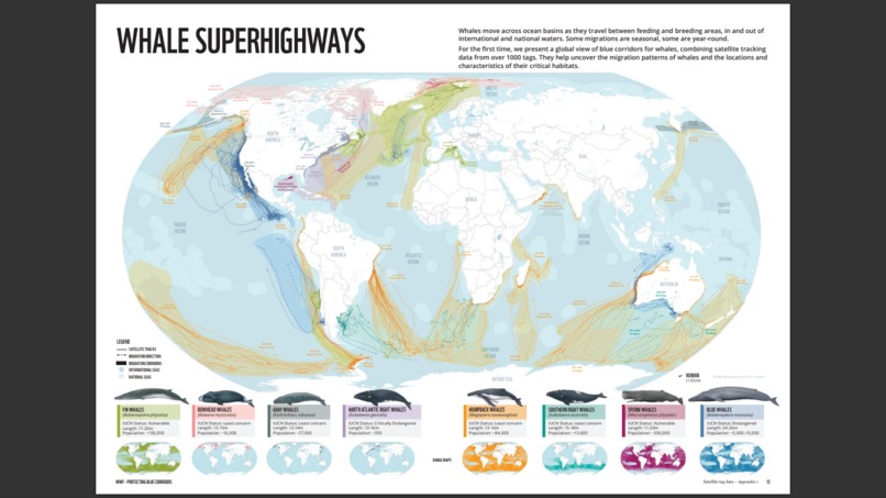 The environmental effects of marine transport  – screenshot 3